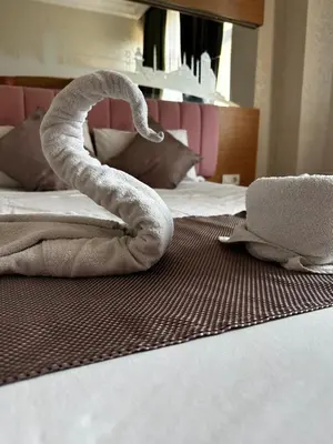 a towel on a bed with a laptop on it at Divas Silver in Istanbul