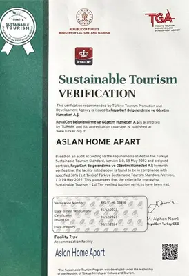 a permit for an asian home agent with a green and white document at Aslan Home Apart in Istanbul