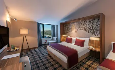 a hotel room with a bed and a television at Kaya Uludag in Uludag