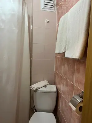 a small bathroom with a toilet and a shower at Paris Hotel in Istanbul