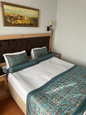 a bed in a bedroom with a painting on the wall at Blue Tuana Hotel Old City in Istanbul