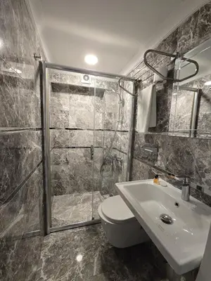 a bathroom with a shower and a toilet and a sink at The Empress Theodora Hotel ll in Istanbul