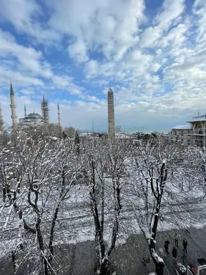 a group of trees covered in snow in a city at Optimist Hotel in Istanbul