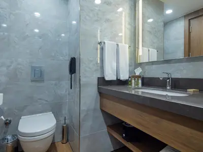 a bathroom with a toilet and a sink and a shower at Hilton Garden Inn Yalova in Yalova