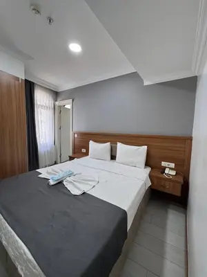 a bedroom with a large bed in a room at Ens Hotel in Istanbul