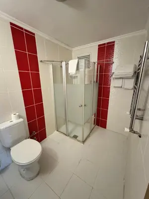 a bathroom with a toilet and a shower with red tiles at Hotel Ipekyolu in Istanbul