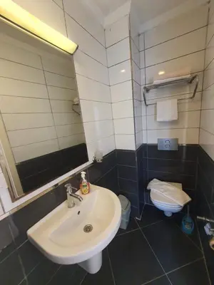 a bathroom with a sink and a toilet at TAKSİM LİFE HOUSE in Istanbul