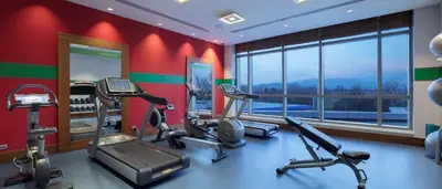 a gym with cardio equipment in a room with a view at Hampton By Hilton Bursa in Bursa