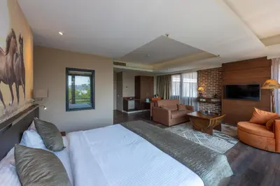 a bedroom with a large bed and a living room at Riva's Moda in Istanbul