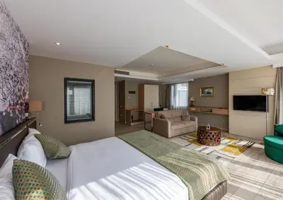 a bedroom with a large bed and a living room at Riva's Moda in Istanbul