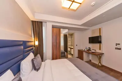 a hotel room with a bed and a television at Golden Royal Hotel & SPA in Istanbul