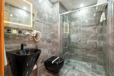 a bathroom with a shower with a toilet and a sink at La Wisteria Boutique Hotel Istanbul in Istanbul