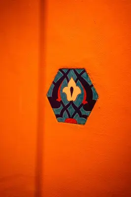 an orange wall with a painting of a flower on it at West Pera Hotel in Istanbul