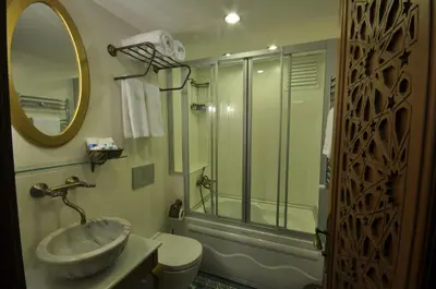 a bathroom with a shower and a sink and a toilet at Merial Hotel Sultanahmet in Istanbul