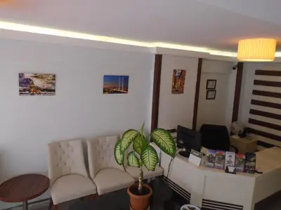 a living room with a couch and a potted plant at City House in Istanbul