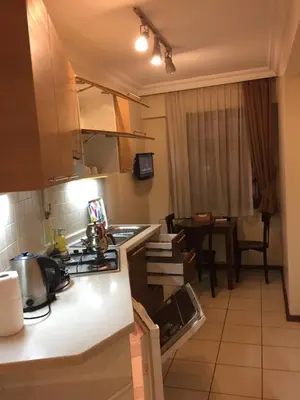 a kitchen with a sink and a stove top oven at Taksim House Suites in Istanbul