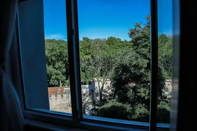 a window with a view of a forest of trees at Sirkeci Ersu Hotel & SPA in Istanbul