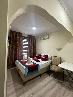 a bedroom with a bed with red pillows and a chair at Happy Suite Boutique Hotel in Istanbul