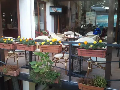 a bunch of flowers in planters on a table at Bakirkoy Tashan Business & Airport Hotel in Istanbul