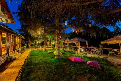 a yard with a tree and some tables and umbrellas at Park Mandalin Hotel - Adult only in Agva