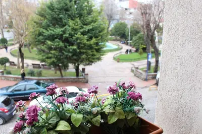 a window with flowers in a pot on a window sill at Sultans Hotel in Istanbul