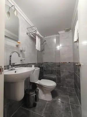 a bathroom with a sink and a toilet and a shower at Ceylan Hotel in Bursa