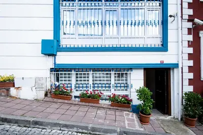 a building with potted plants in front of a window at White Pearl Apart Hotel in Istanbul