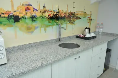 a kitchen counter with a sink and a painting on the wall at Nar Palace in Istanbul
