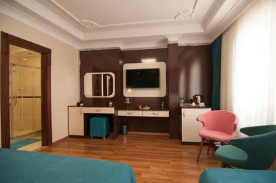 a living room with a tv and a pink chair at Akbiyik Suite Boutique Hotel in Istanbul