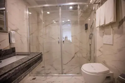a bathroom with a shower and a toilet at Dodo Hotel Spa Old City in Istanbul