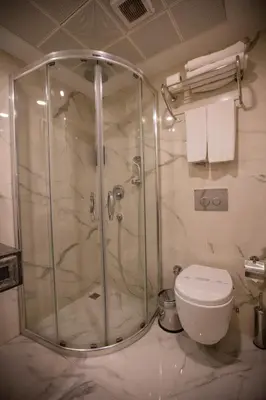 a bathroom with a shower and a toilet at Dodo Hotel Spa Old City in Istanbul