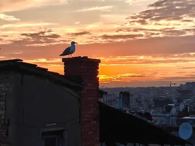 a bird sitting on the chimney of a building at sunset at Kunterbunt Istanbul in Istanbul