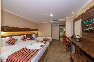 a hotel room with two beds and a flat screen tv at Vision Deluxe Hotel in Istanbul