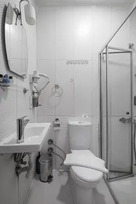 a bathroom with a toilet and a sink and a shower at Family Istanbul Hotel in Istanbul