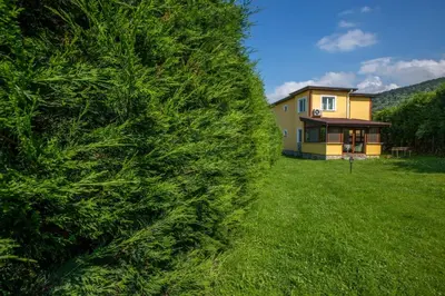 a house in a field with a large tree at The Doctor's House in Sapanca