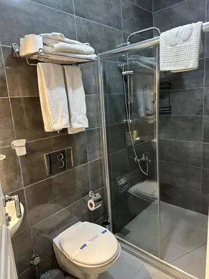 a bathroom with a toilet and a shower at Ortakoy Aysem Sultan Hotel in Istanbul
