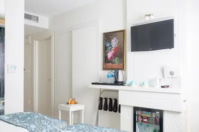 a living room with a fireplace and a flat screen tv at KRALICE HOTEL in Istanbul
