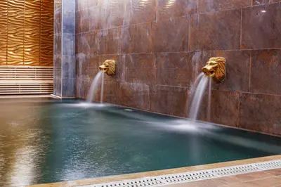 a pool of water with two fountains on a wall at Vital Thermal Hotel & SPA in Termal