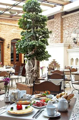 a table with plates of food on it with a tree at Celine Hotel - Ottoman Mansion in Istanbul