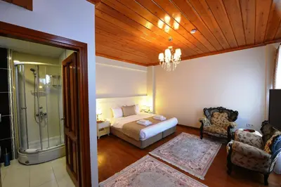 a bedroom with a bed and a bathroom with a shower at Elyka Hotel in Istanbul