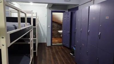 a room with purple bunk beds and a bathroom at ivy hostel cafe in Istanbul