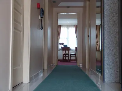 a hallway with a green carpet and a dining room at Hotel Nova in Istanbul