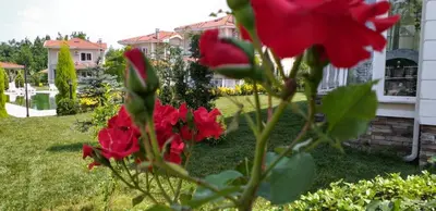 a group of red flowers in a yard at PALACE KIRKPINAR in Sakarya