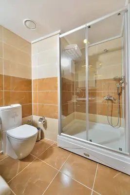 a bathroom with a toilet and a glass shower at The Sign Kocaeli Thermal Spa Hotel &Convention Center in Yeniköy