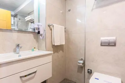 a bathroom with a shower and a sink and a toilet at Obelisk Hotel & Suites in Istanbul