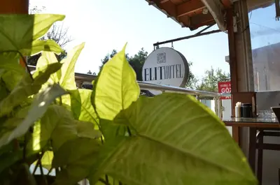 a large green leafy plant in front of a table at Elite Hotel City Center Saray Bed and Breakfast in Saray