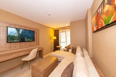 a living room with a couch and a tv at 38 Hotel in Istanbul