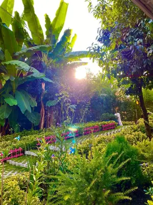 a garden with flowers and trees and the sunset at Kadifeli Konak Hotel & Bungalow in Kocaeli