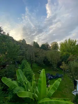 a view of a field with tents and trees at Kadifeli Konak Hotel & Bungalow in Kocaeli