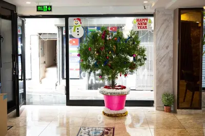 a christmas tree in a pot in front of a store at Gul Otel in Istanbul